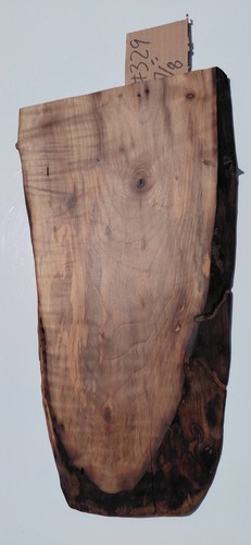 Bastogne walnut slab - walnut,