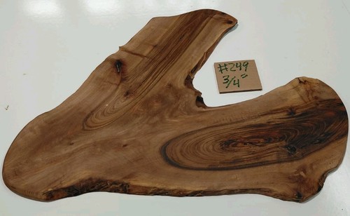 Bastogne walnut slab - bastogne,